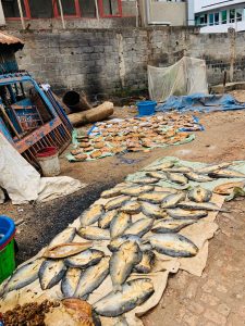 IMG-20260219-WA0073-225x300 Bukavu: les détaillants fragilisé par les grossistes vendeuses des poissons salés